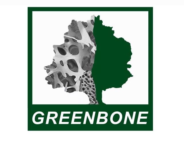 Greenbone Ortho